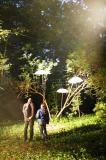 Sous bois 16 * 5184 x 3456 * (8.91MB)